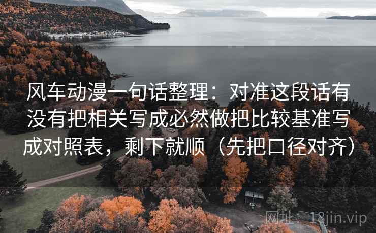 风车动漫一句话整理：对准这段话有没有把相关写成必然做把比较基准写成对照表，剩下就顺（先把口径对齐）
